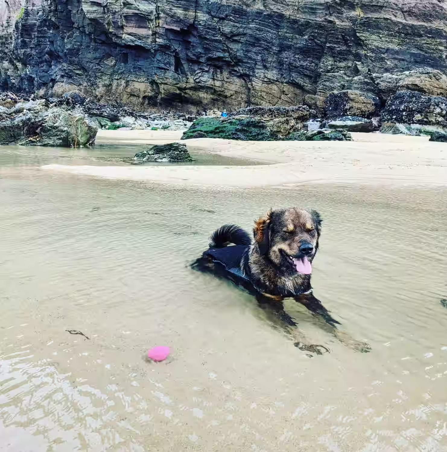 Screenshot 2025-08-23 at 14.38.17